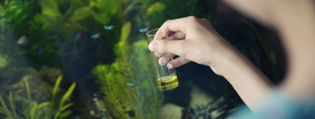 Water Treatment Products and Digital Gadgets Bound to Help Your Aquarium Fishes