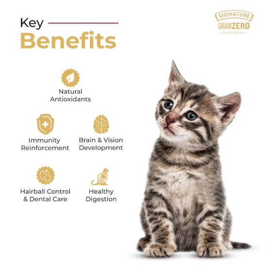 Grain Zero Kitten Dry Cat Food 1kg | Ocean Fish, Sardine & Mackerel |DHA for Brain Development, 48 Fresh Fish Inclusion | Promotes Healthy Skin & Coat | for Kitten & Mother |Free Container