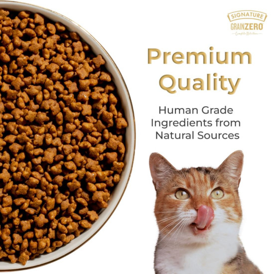 Grain Zero Kitten Dry Cat Food 1kg | Ocean Fish, Sardine & Mackerel |DHA for Brain Development, 48 Fresh Fish Inclusion | Promotes Healthy Skin & Coat | for Kitten & Mother |Free Container