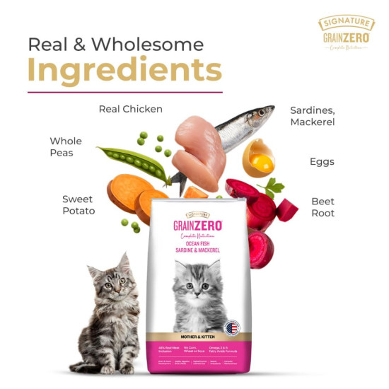 Grain Zero Kitten Dry Cat Food 1kg | Ocean Fish, Sardine & Mackerel |DHA for Brain Development, 48 Fresh Fish Inclusion | Promotes Healthy Skin & Coat | for Kitten & Mother |Free Container