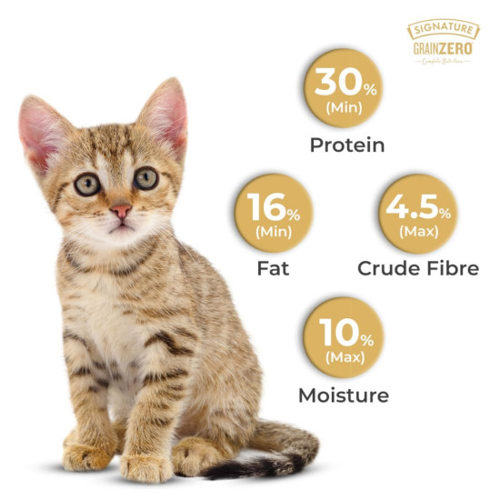 Grain Zero Kitten Dry Cat Food 1kg | Ocean Fish, Sardine & Mackerel |DHA for Brain Development, 48 Fresh Fish Inclusion | Promotes Healthy Skin & Coat | for Kitten & Mother |Free Container