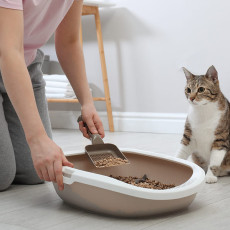 Cat Litter