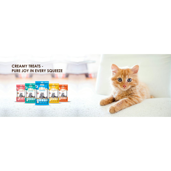 Signature grainzero Creamy treats Combo Pack 1