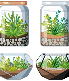 Terrarium & Paludarium