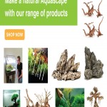 AQUARIUM DECORATIONS