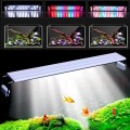 Aquarium Lighting