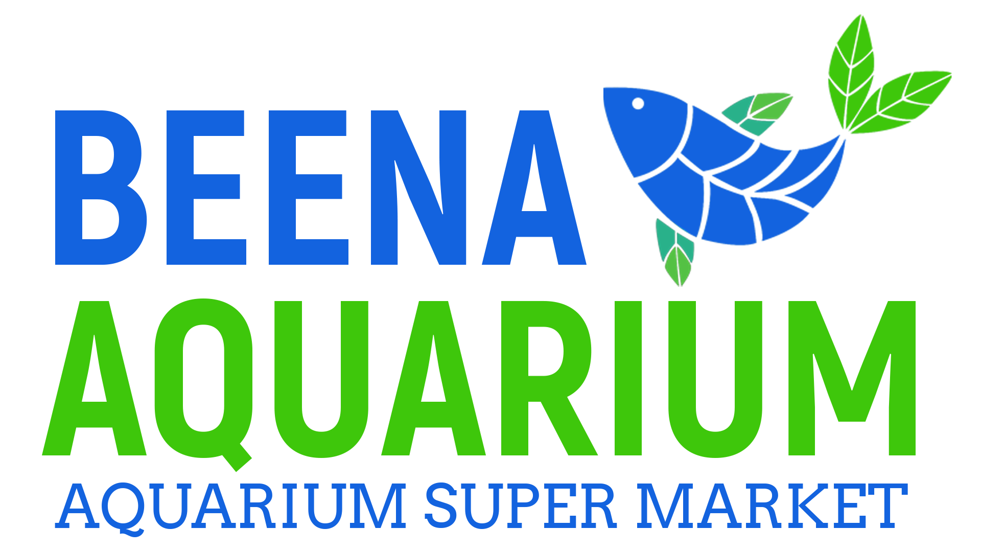 Beena Aquarium - Aquarium Super Market in India