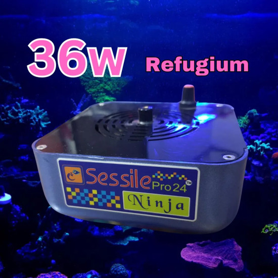 NINJA - Refugium-36W
