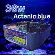 NINJA- Actinic Blue -36W