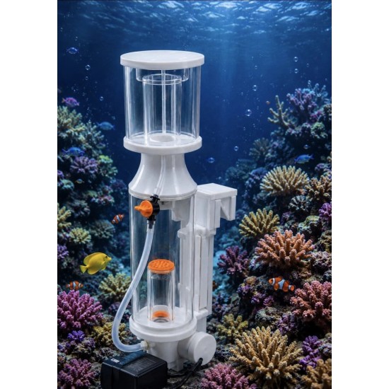 Sessile Velocity - Model: C - 60