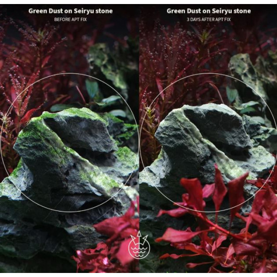 2HR Aquarist APT Fix 200 Ml