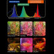 Neo Helios Flat Nano S3 Pro (8Watts) High Brightness Vivid Solar Colour 10000K | Clip On Back Planted Aquarium Fish Tank