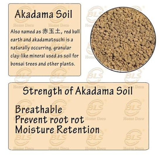 Aquatic Remedies Shizuka Akadama Japan Soil for Bonsai, Succulant and Aquarium, 2.5L