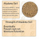 Aquatic Remedies Shizuka Akadama Japan Soil for Bonsai, Succulant and Aquarium, 2.5L