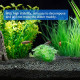 Aqua Soil Planted Aquarium Substrate Aquarium Soil