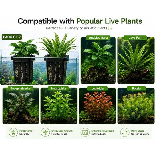 Aquarium Plant Holder (Pack of 2) | Fish Tank Plant Holder | Hang-On Aquarium Plant Cup for Live Aquatic Plants | Planter Basket for Aquascaping | Black