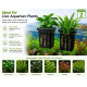 Aquarium Plant Holder (Pack of 2) | Fish Tank Plant Holder | Hang-On Aquarium Plant Cup for Live Aquatic Plants | Planter Basket for Aquascaping | Black