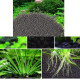 Aqua Soil Planted Aquarium Substrate Aquarium Soil