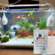 Aquatic Remedies by-Par, 100ML (Mesh Bag Included), Regenerative Absorbent Aquarium Water Purifier