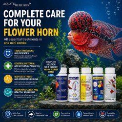 Aquatic Remedies 5 in 1 Flower Horn Fish Care Mini Combo