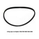 Dophin Canister O Ring Spare for C series | CF Series