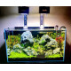 Sessile - AVANTRA - Hi-Tech planted light