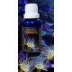 Aiptasia Terminator 30ml