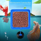 Aquarium Fish Tank Floating Fish Feeding Ring with Suction Cup