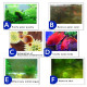Aquatic Remedies by-Par, 100ML (Mesh Bag Included), Regenerative Absorbent Aquarium Water Purifier