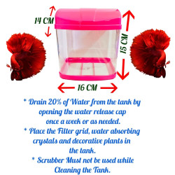 Betta Tank - Mini Aquarium Betta Tank - Mini Aquarium