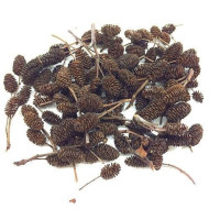 BORNEO WILD Alder Cones | 10pcs | Nature Aquarium Goods BORNEO WILD Alder Cones | 10pcs | Nature Aquarium Goods