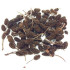 BORNEO WILD Alder Cones | 10pcs | Nature Aquarium Goods