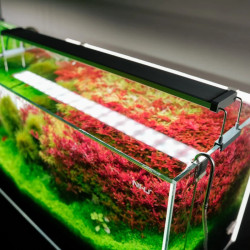 Chihiros B Series B60 with Controller 1 (60 CM)