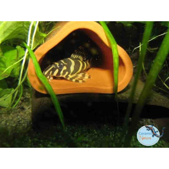 Cube One CL-005-Triangle pleco cave
