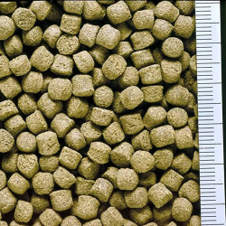 Hikari Sinking Cichlid Excel | Mini Pellet Hikari Sinking Cichlid Excel | Mini Pellet