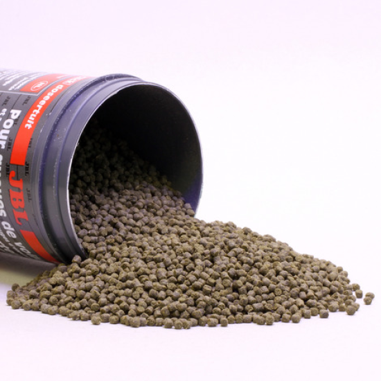 JBL GoldPearls - Premium granulate as main food for veiltails JBL GoldPearls - Premium granulate as main food for veiltails