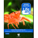 Life Aayu Drawf Crayfish Orange - 15gm