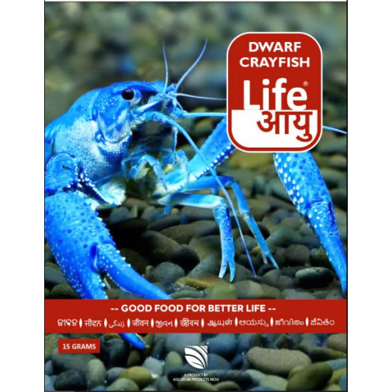 Life Aayu Dwarf Crayfish Blue - 15gm