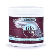Life Aayu Silver Arowana Food