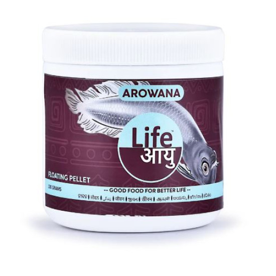 Life Aayu Silver Arowana Food