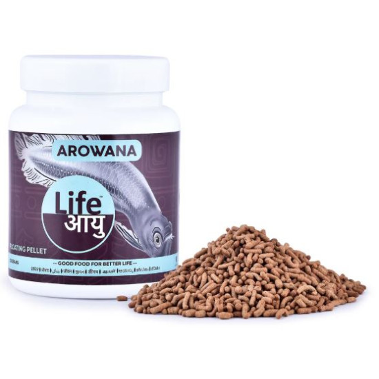 Life Aayu Silver Arowana Food