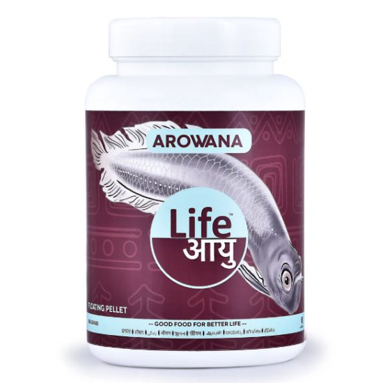 Life Aayu Silver Arowana Food
