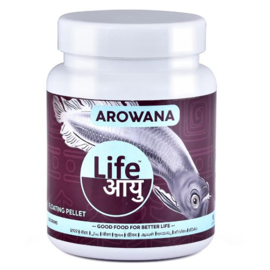 Life Aayu Silver Arowana Food