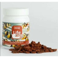 Life Aayu Tropical Loaches 45g
