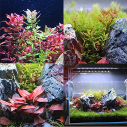 Neo Helios XP Series Flat LED Aquarium Light
