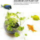 Plant Pot for Aquarium Fish Tank | Carpet Plants Planting Glass Pot | Crystal Clear Glass Pot with with Strong Suction Cup Plant Pot for Aquarium Fish Tank | Carpet Plants Planting Glass Pot | Crystal Clear Glass Pot with with Strong Suction Cup