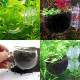 Plant Pot for Aquarium Fish Tank | Carpet Plants Planting Glass Pot | Crystal Clear Glass Pot with with Strong Suction Cup Plant Pot for Aquarium Fish Tank | Carpet Plants Planting Glass Pot | Crystal Clear Glass Pot with with Strong Suction Cup
