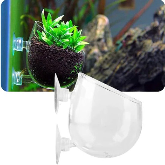 Plant Pot for Aquarium Fish Tank | Carpet Plants Planting Glass Pot | Crystal Clear Glass Pot with with Strong Suction Cup Plant Pot for Aquarium Fish Tank | Carpet Plants Planting Glass Pot | Crystal Clear Glass Pot with with Strong Suction Cup