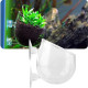 Plant Pot for Aquarium Fish Tank | Carpet Plants Planting Glass Pot | Crystal Clear Glass Pot with with Strong Suction Cup Plant Pot for Aquarium Fish Tank | Carpet Plants Planting Glass Pot | Crystal Clear Glass Pot with with Strong Suction Cup