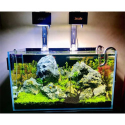 Sessile - AVANTRA - Hi-Tech planted light